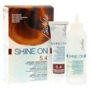 Bionike shine-on trattamento colorante capelli - castano chiaro ramato 5.4 - Salute capelli - Tinture